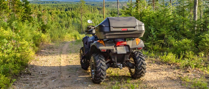 Quad bike in forest