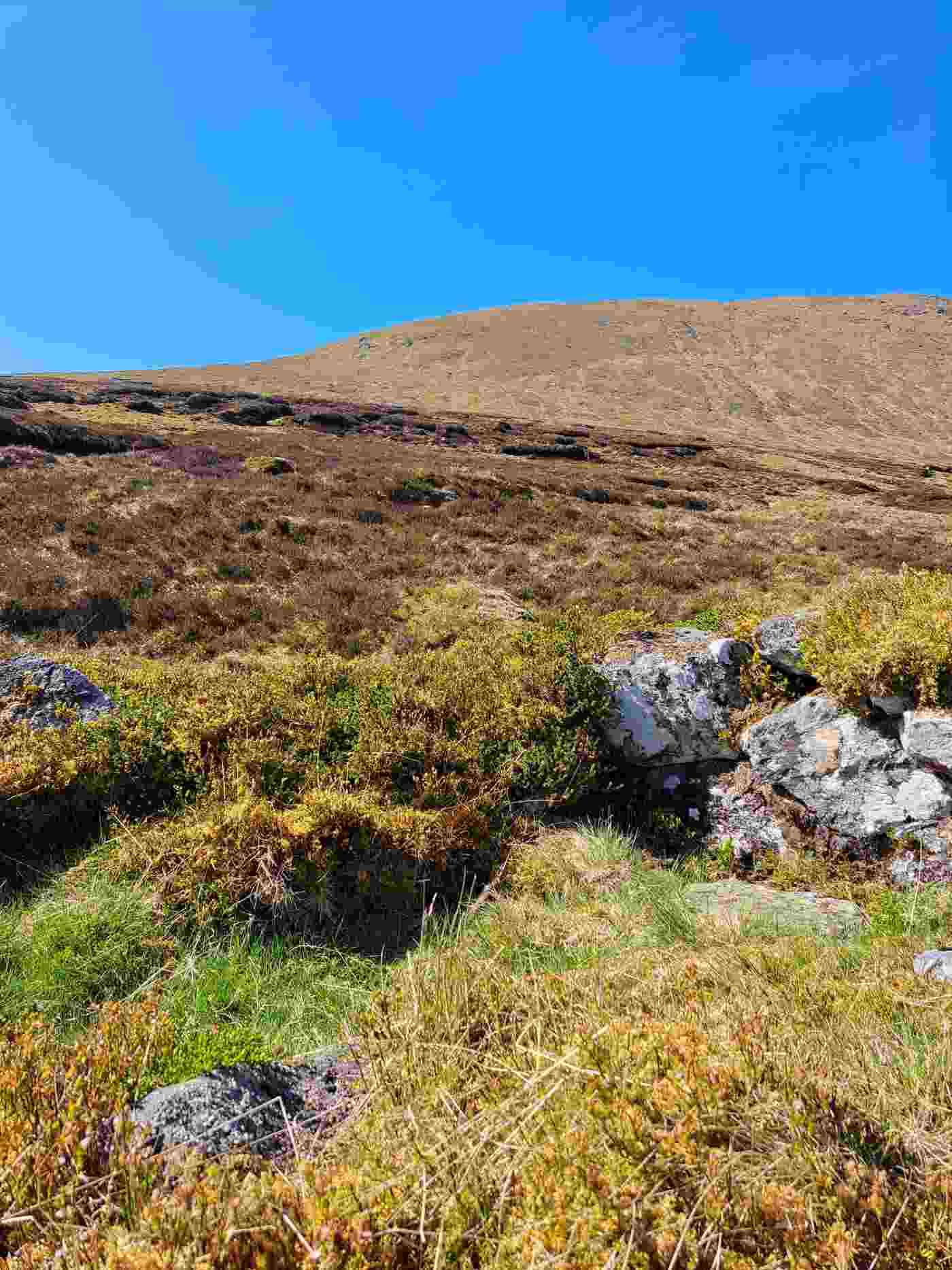 View from sheilings looking towards peat haggs and sample site. Isobel Harvey 2025