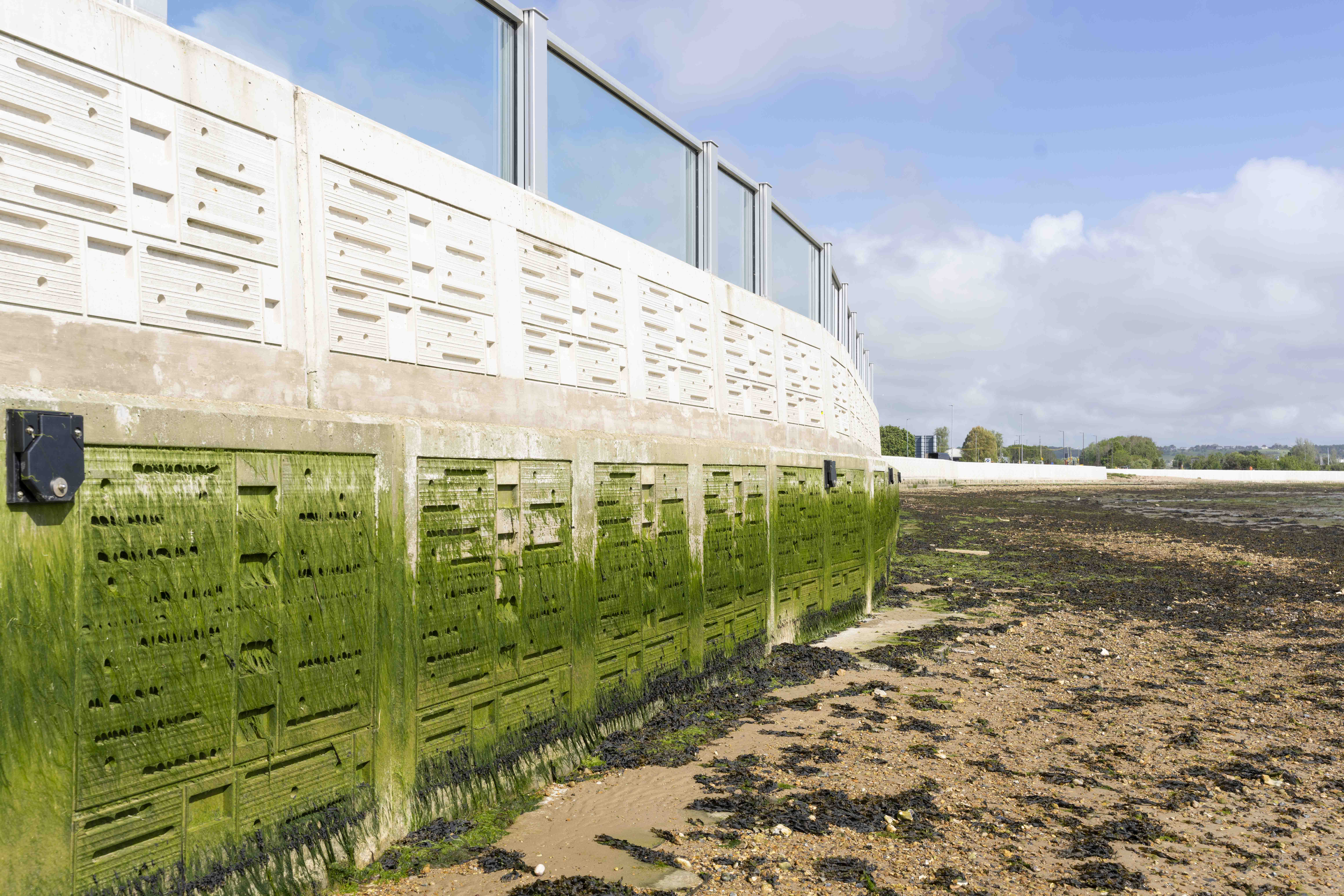 Photo credit: Lucy Sheffield