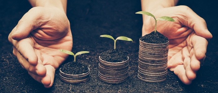 Stacks of coins with little plants growing on top of them
