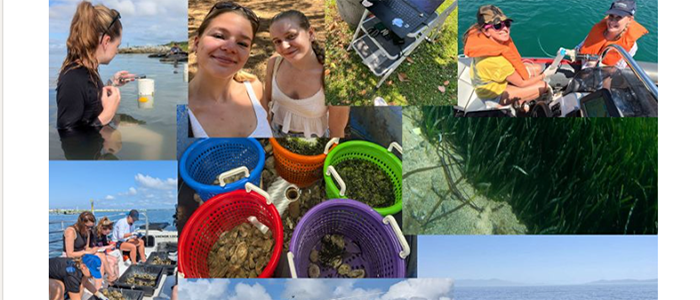 Collage picture of outdoors carrying out various work placement activities