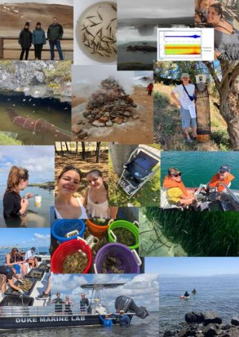 Collage picture of outdoors carrying out various work placement activities