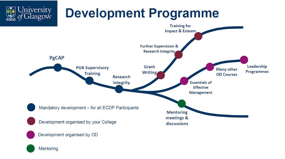 An illustrative example of a development programme for an ECDP participant, which includes the mandatory elements of PgCAP; PGR Supervisory Training; and Research Integrity. Development organised by your college such as Grant Writing, Further Supervision & Research Integrity; and Training for Impact & Esteem. Development organised by OD such as Essentials of Effective Management; Many other OD Courses and Leadership Programmes. And finally Mentoring meetings and discussions.