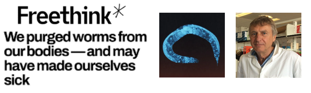 A composite graphic with a portrait image of Professor Rick Maizels in the lab beside the cover of the Freethink article featuring the webpage title, the heading: 'We purged worms from our bodies — and may have made ourselves sick' and an image of Caenorhabditis elegans