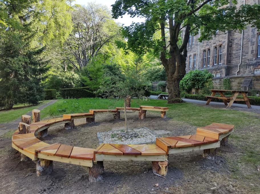 Semi-circular wooden bench around an olive tree.
