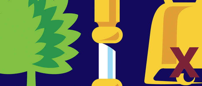 misuse: cropped logo