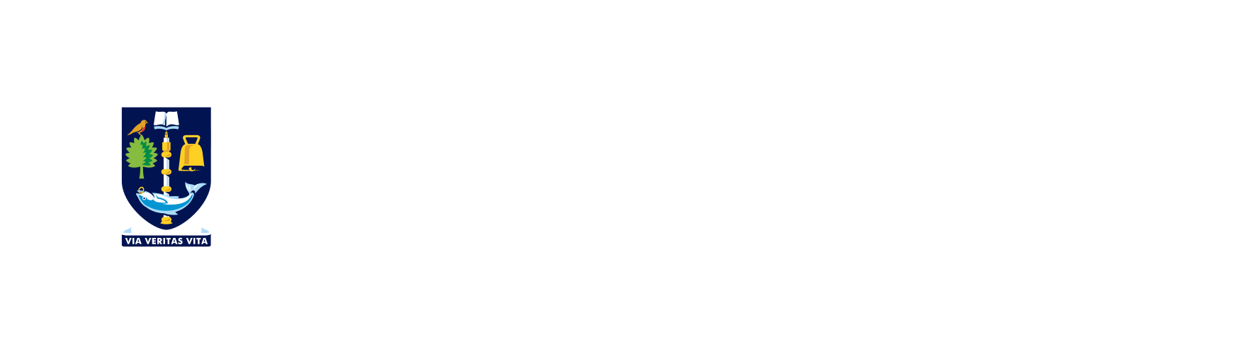 Unboxed colour logo white text with colour example