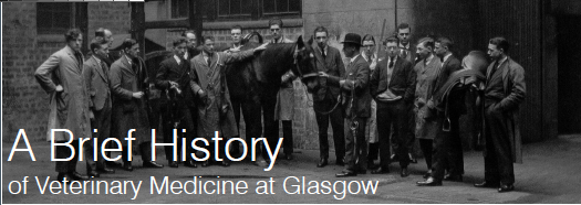 Image of Veterinary researchers in Glasgow in black and white circa 1960s