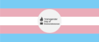 The transgender flag with a logo in the middle reading Transgender Day of Remembrance