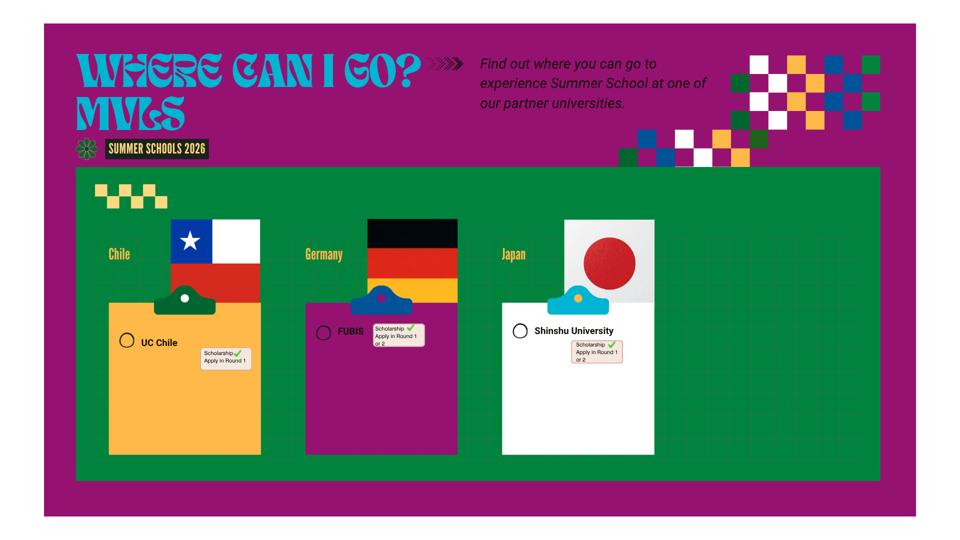 A graphic that shows where students can go from the Medicine, Vet Med and Life Sciences