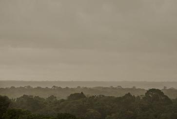 Image of the Amazon Rain Forest taken from above