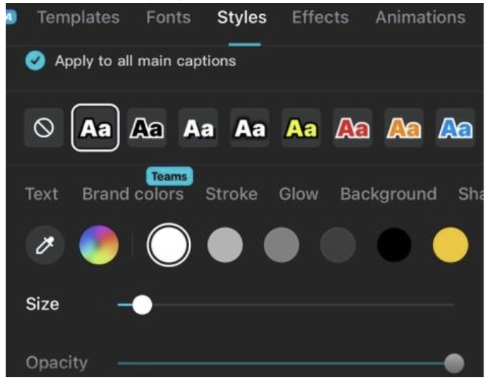 Example of the subtitling area in CapCut