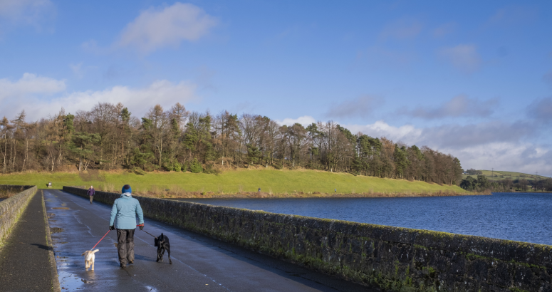 the milngavie reservoir, a large body of water with a bridge to the left of the frame. A person and a dog walk away from the camera