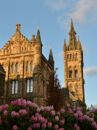 Photograph of Glasgow university tower with pink flowers blooming