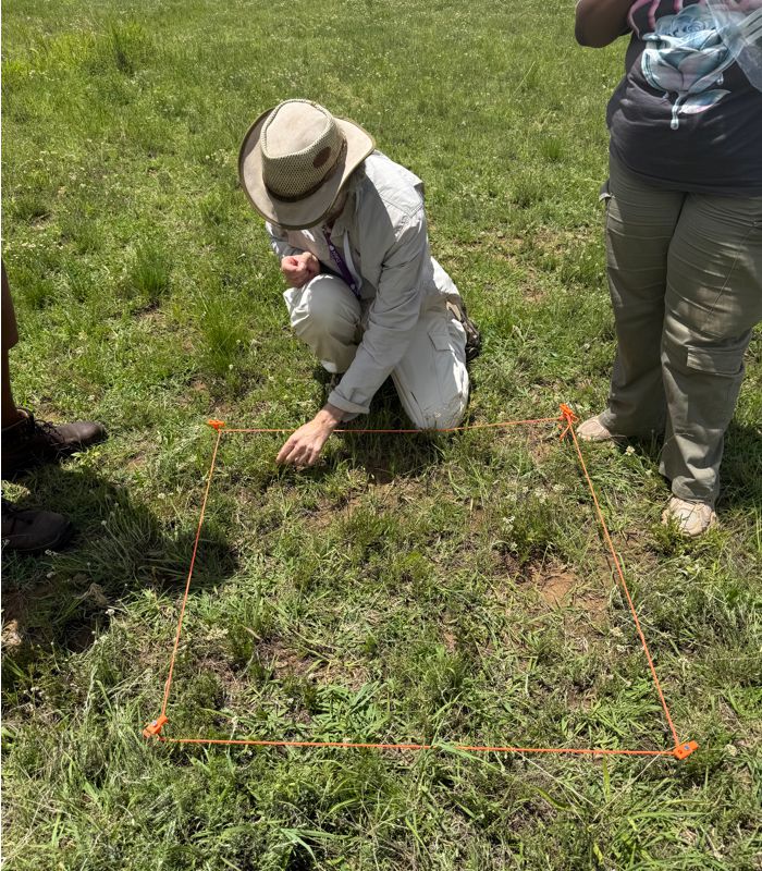 Prof Frank Neumann inspecting a vegitation survey grid