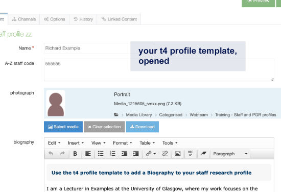 t4 template opened to the content editor