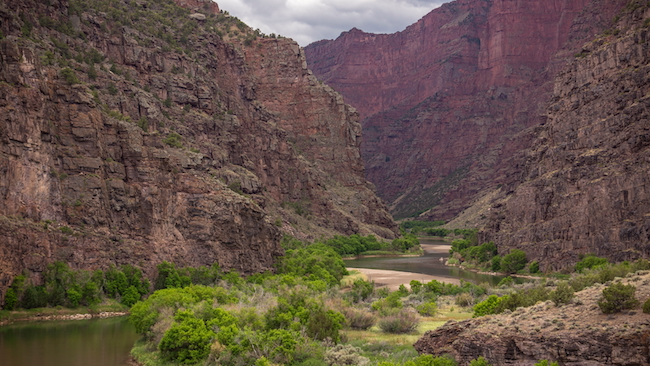 Green River at the Gates of Lodore Canyon Entrance, Dinosaur National Monument Colorado
