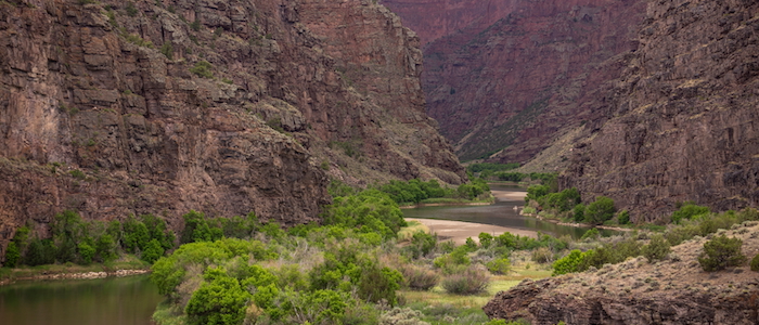 Green River at the Gates of Lodore Canyon Entrance, Dinosaur National Monument Colorado