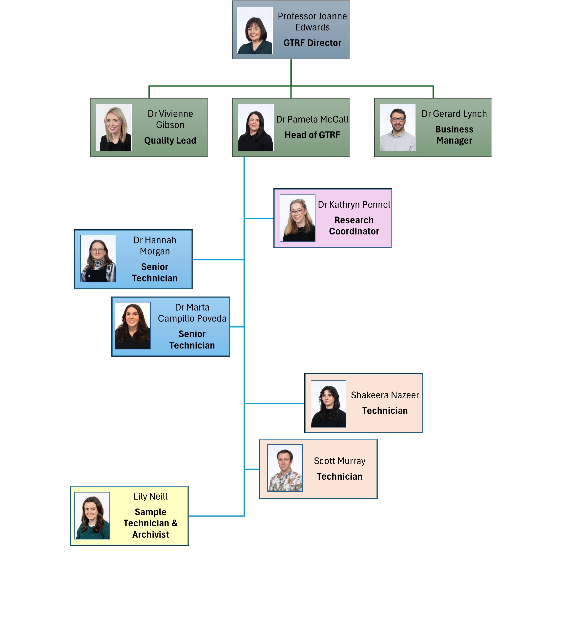 Diagram showing the hierarchy of staff within the GTRF