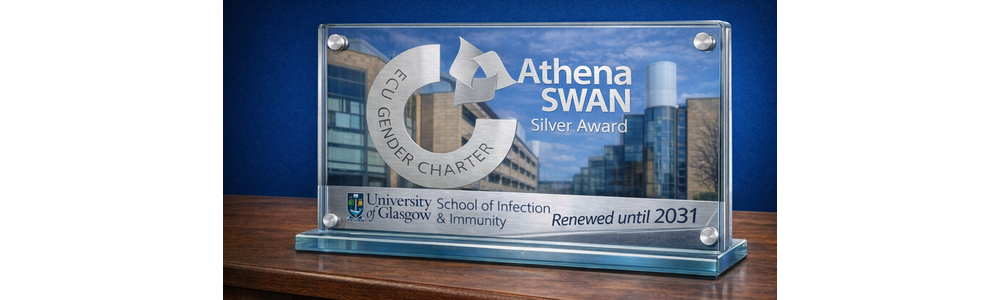 A graphic with a glass plaque sat on a wooden table, with the SGDB in the background, the Athena Swan logo on the glass, and a silver strip with the Sii logo and 'renewed until 2031' in text
