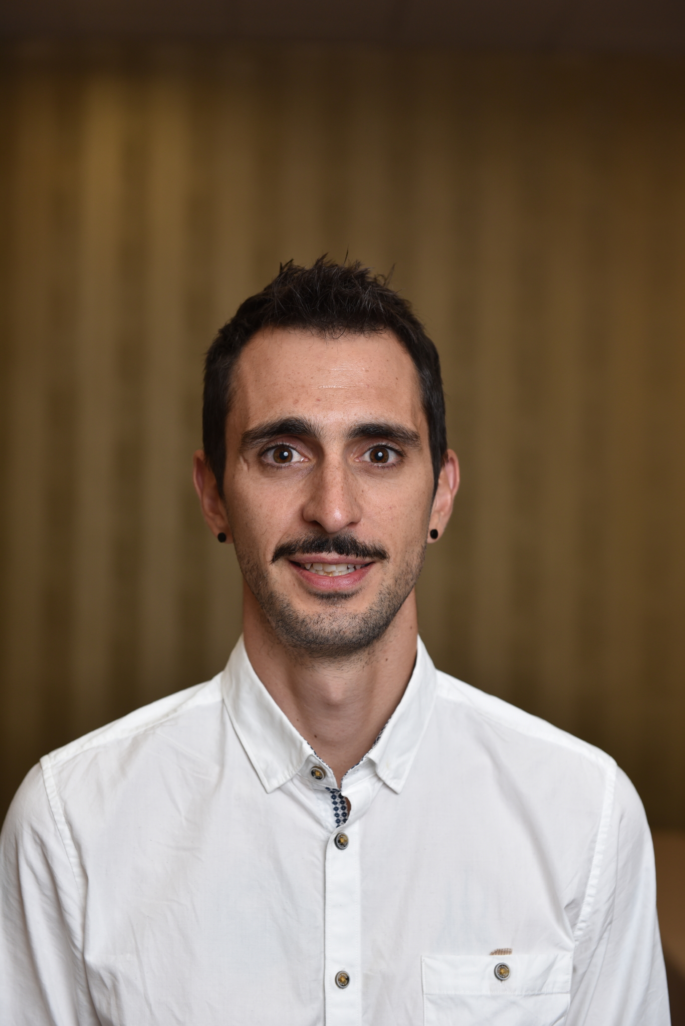 A portrait of Matthew Hollow