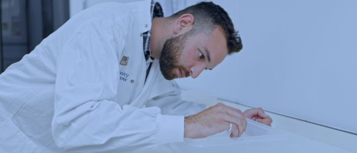 Researcher in a lab coat examining a sample tray on a work surface.