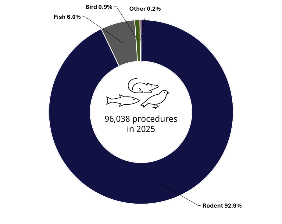 A graph showing the number of animals used in 2025