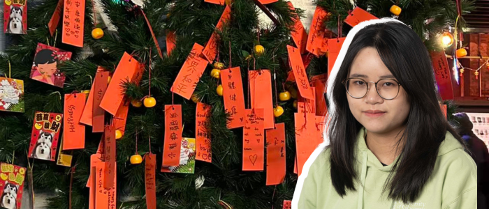 Collage Spring Festival celebrations with student