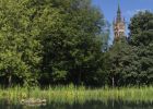 Tower from Kelvingrove Park