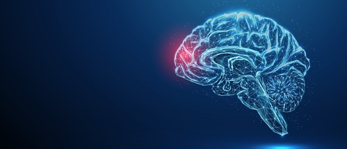 An illustration of a brain with a red spot to signify epilepsy