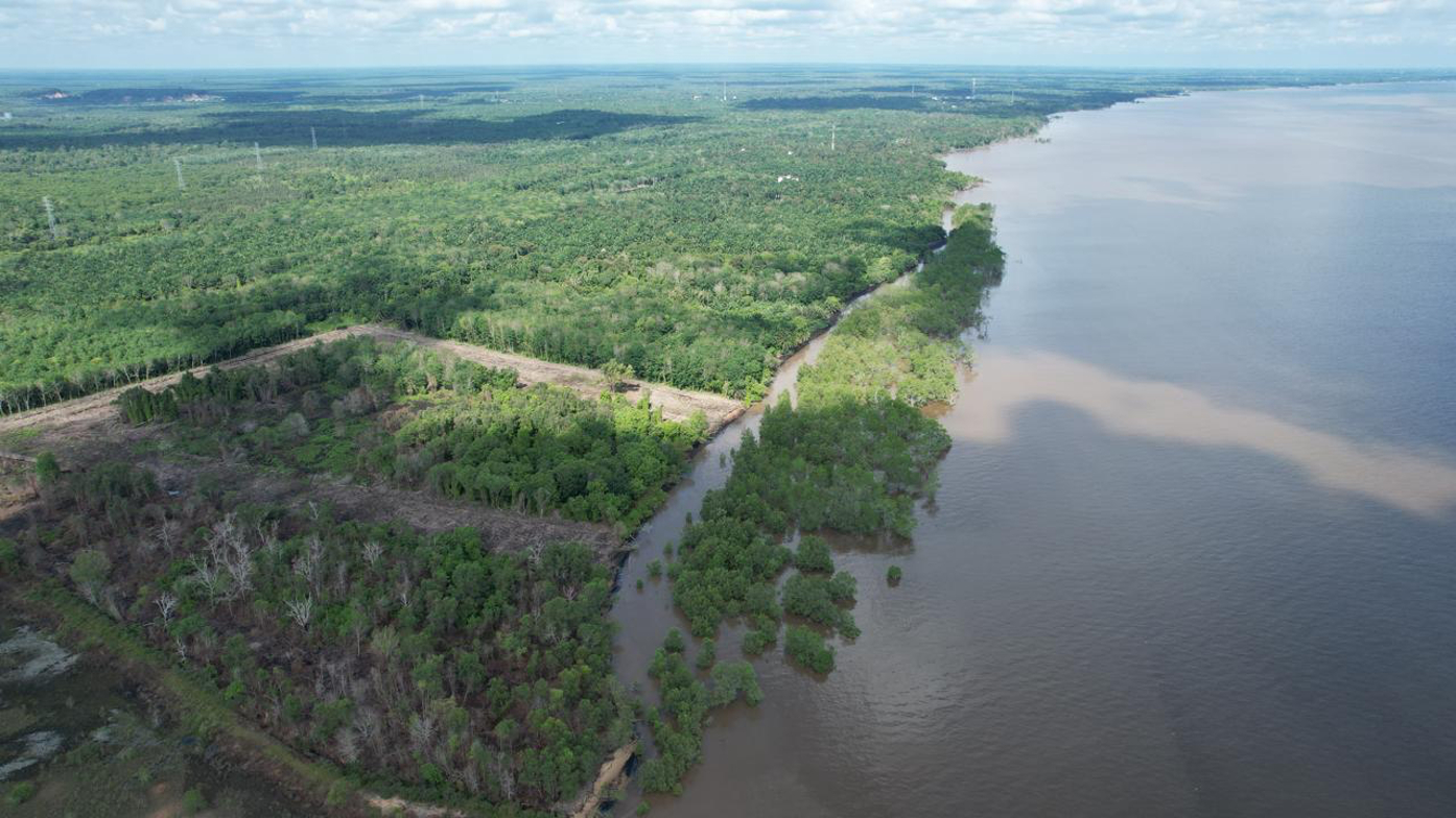 Aerial view of a tropical coastal landscape in Sumatra, Indonesia, where vegetation edge validation was conducted to assess coastal change using satellite imagery. Credit: Idham Nugraha / University of Glasgow.