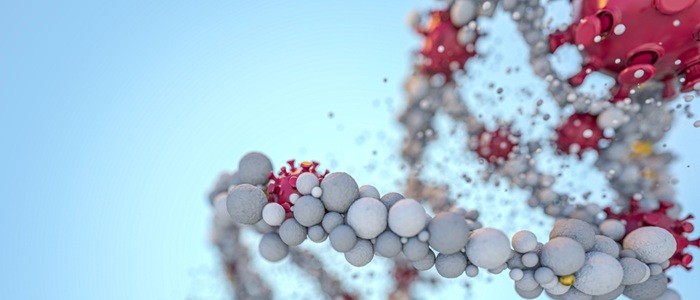 An illustration of human genes