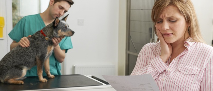 A worried woman looks at a vet bill