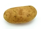 Potato