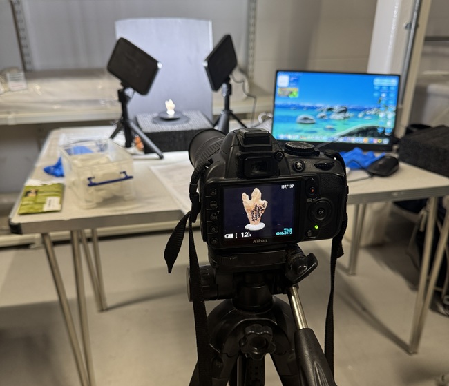 3d photographic scanning of the arrowhead by UofG student Rob Ferro