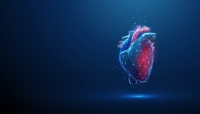 A digital illustration of a human heart rendered in a glowing, geometric wireframe style, with blue and red highlights, floating against a dark blue background.