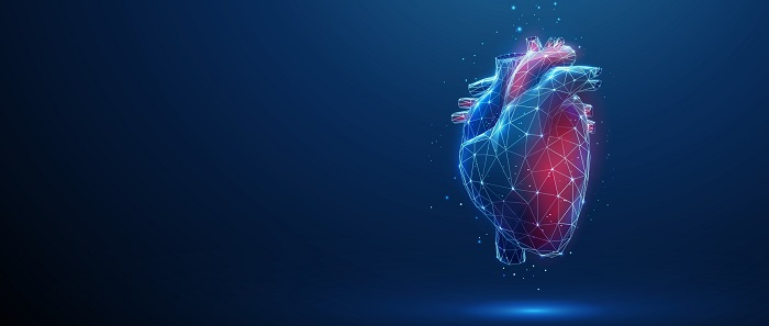 A digital illustration of a human heart rendered in a glowing, geometric wireframe style, with blue and red highlights, floating against a dark blue background.