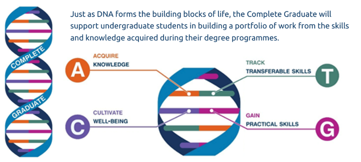 A diagram showing the elements of a 
