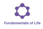 Small round graphic with the words Fundamentals of life