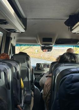 Bus seats