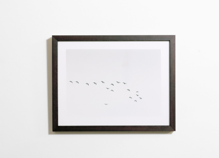 Formation (Eigg)