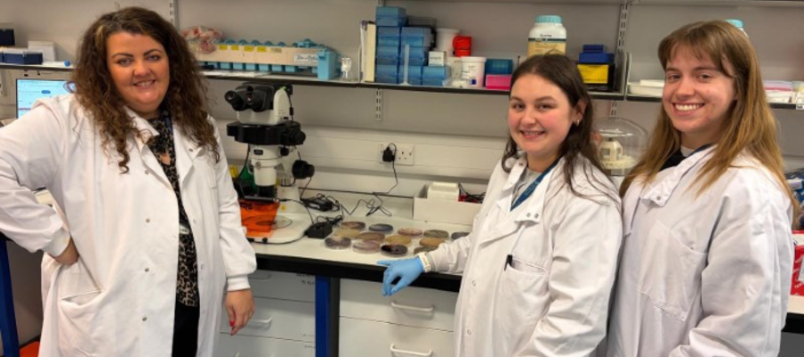 Rebecca McHugh (left) with two researchers in a laboratory, standing beside a microscope and petri dishes while wearing white lab coats.
