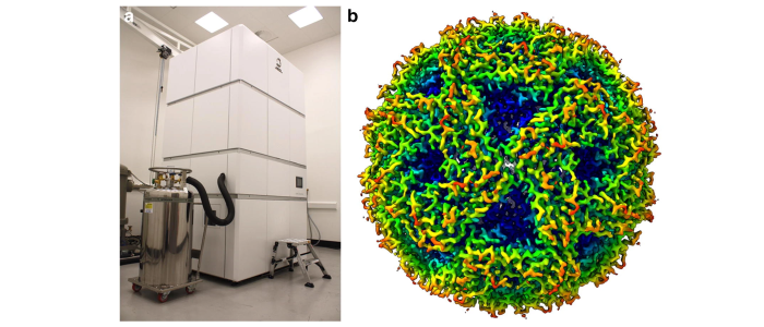 Left: Photo of CRYO ARM 300, white enclosure with 3 silver horizontal stripes in a white room. Right: Cryo-EM reconstruction of lumazine synthase