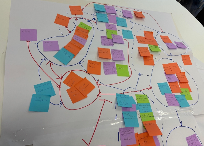 Systems mapping during the workshop