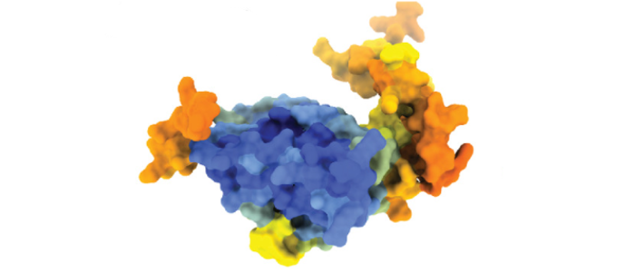 Computer-generated 3D model of the SFTSV NSs protein, displayed as a compact folded structure with colour-coded regions indicating the confidence of the structural prediction.