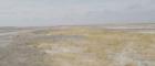 Salt pan landscape