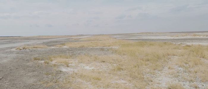 Salt pan landscape