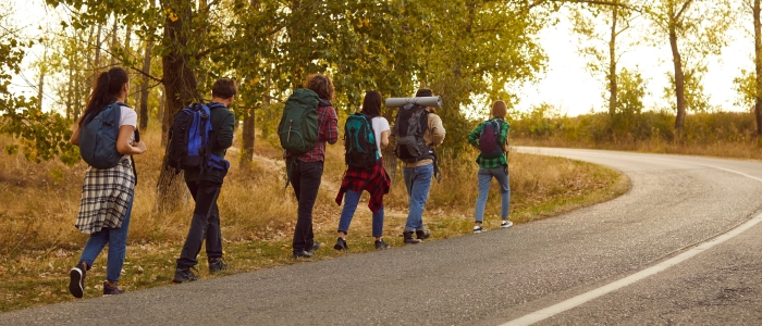 Group of friends tourists trekking with backpacks walking in the forest