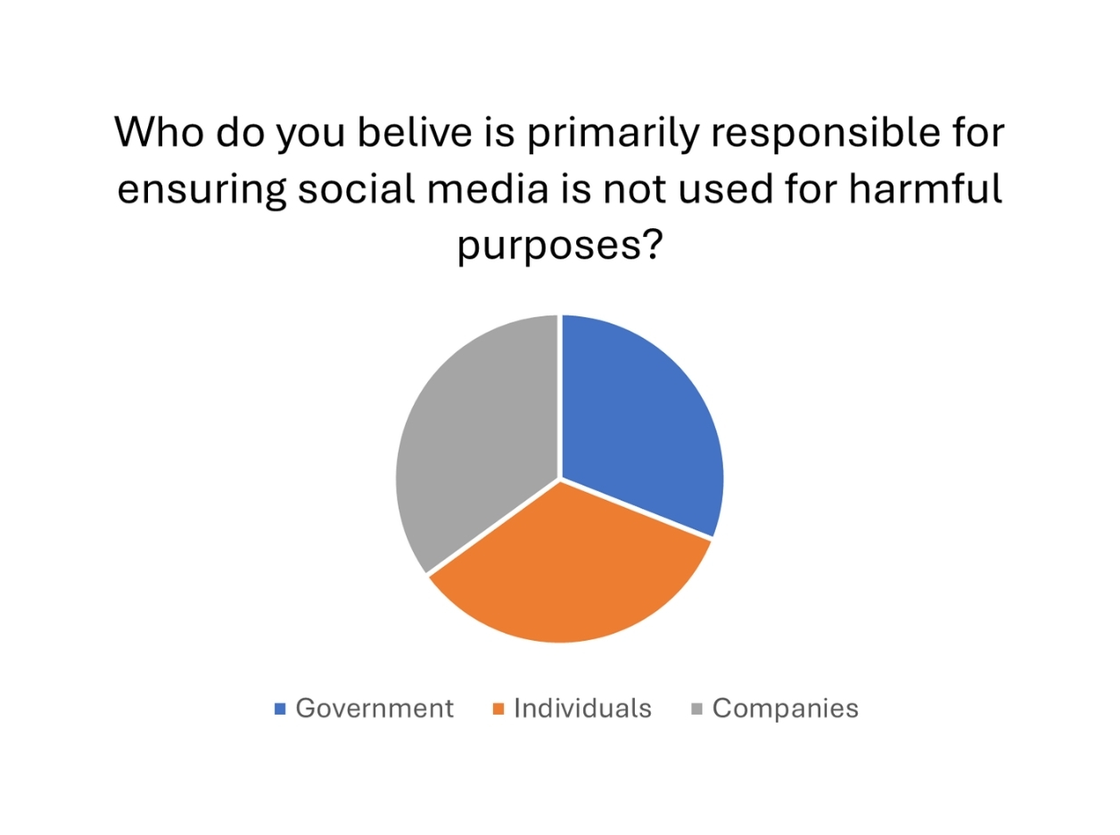 Graphic 3: Who should be responsible for regulation?
