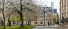 A cherry blossom tree stands in front the School of Law